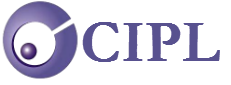 crux infotech logo